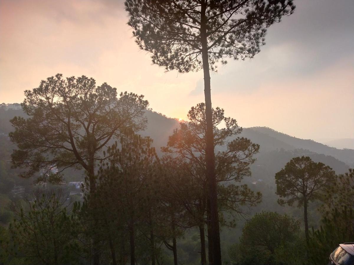 Pine Villa Kasauli Bagian luar foto