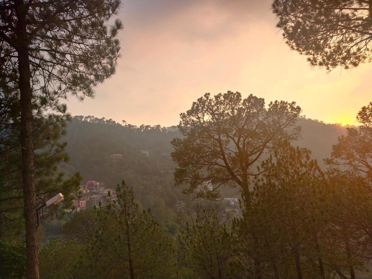 Pine Villa Kasauli Bagian luar foto