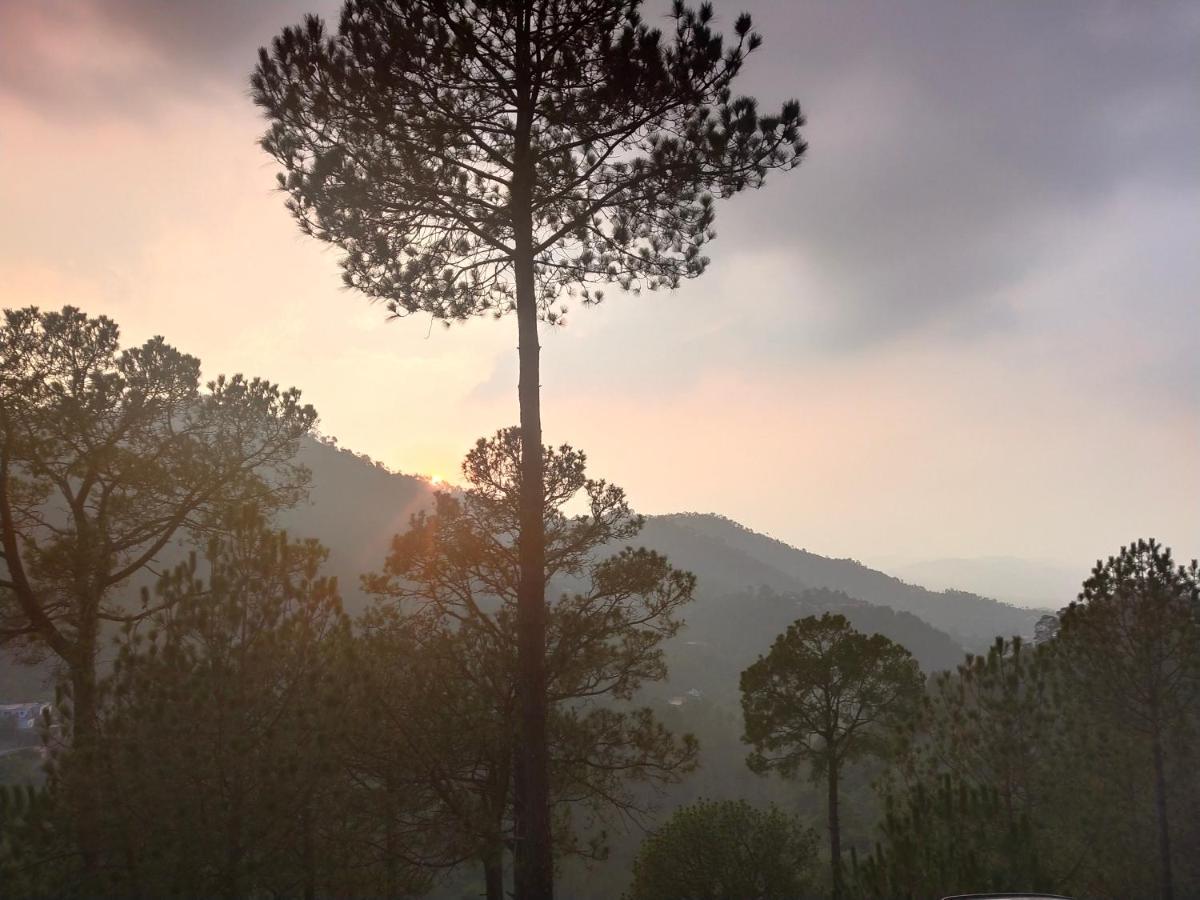 Pine Villa Kasauli Bagian luar foto