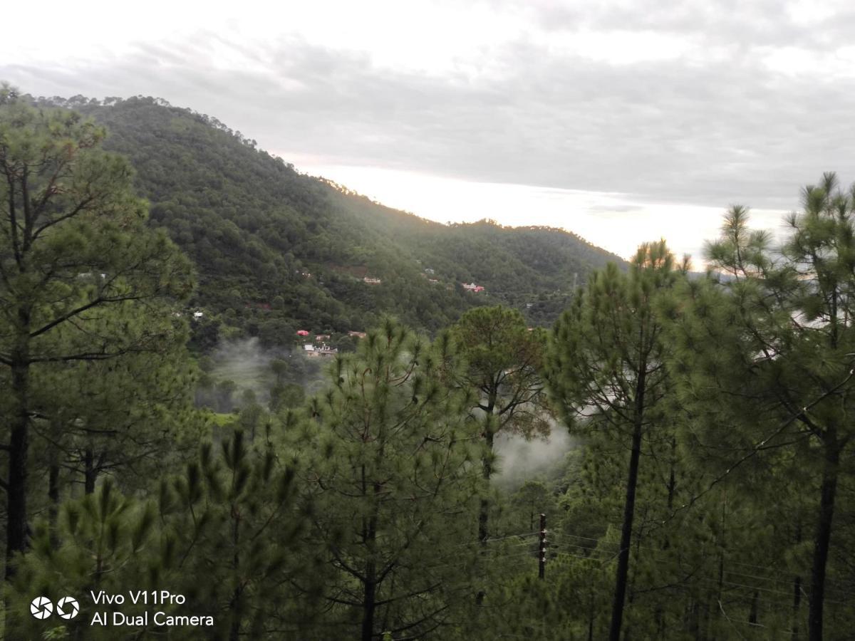 Pine Villa Kasauli Bagian luar foto