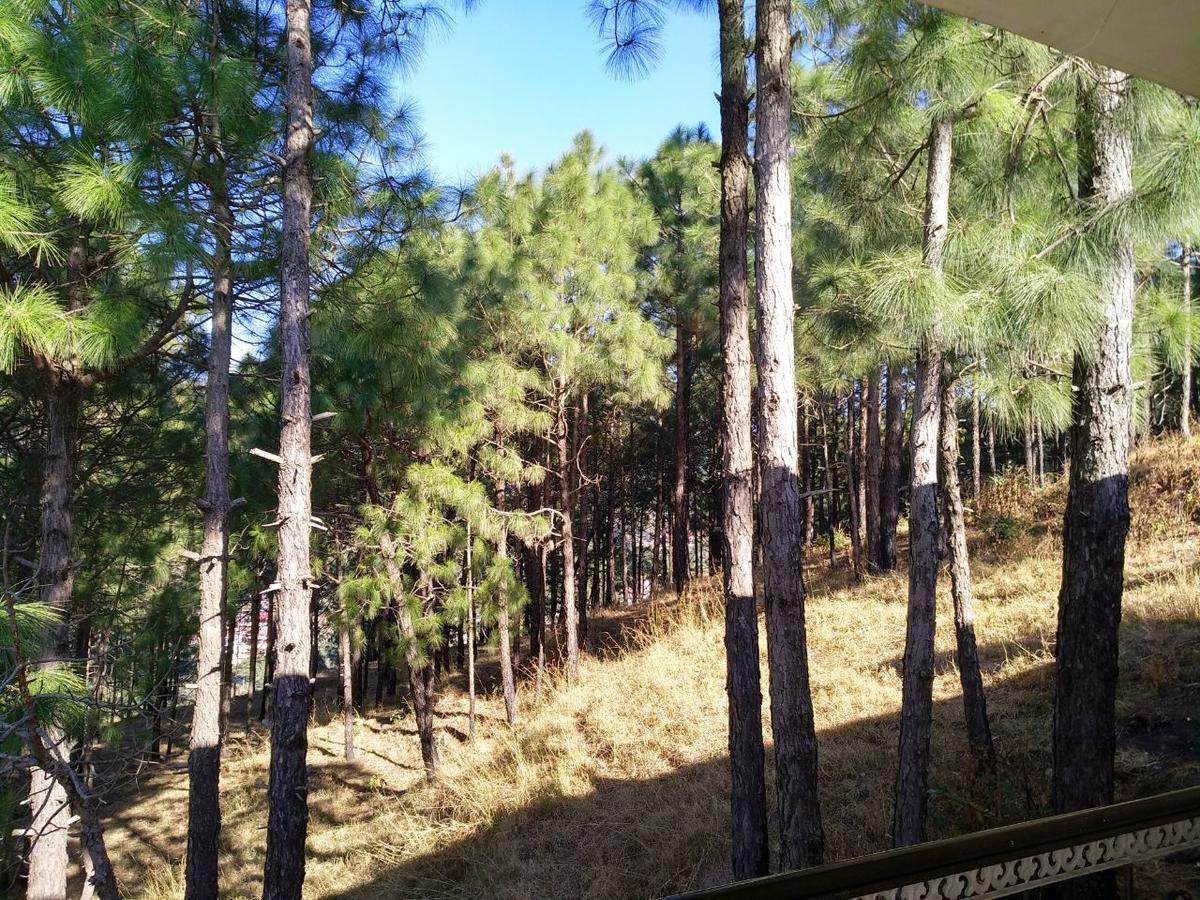 Pine Villa Kasauli Bagian luar foto