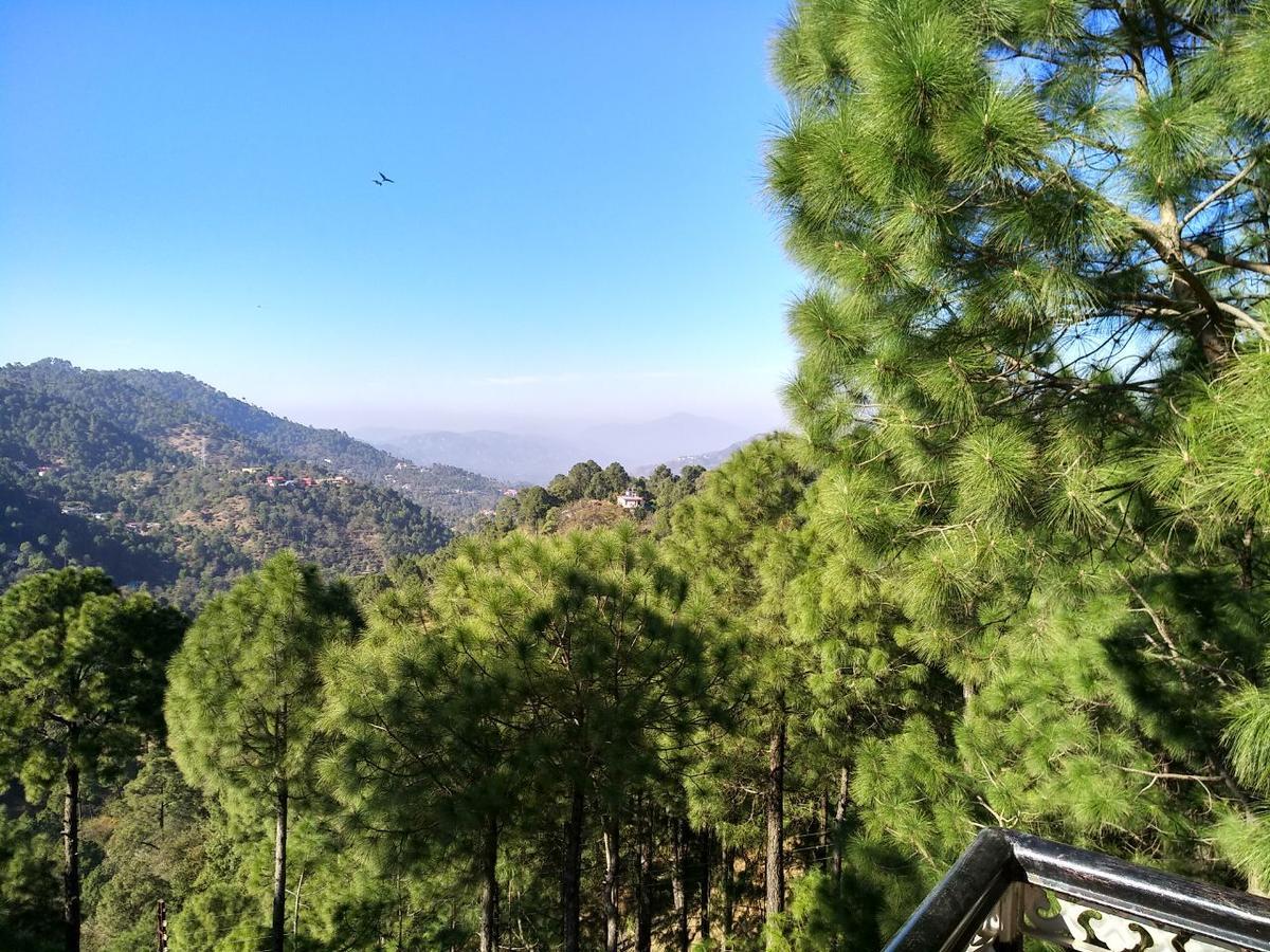 Pine Villa Kasauli Bagian luar foto