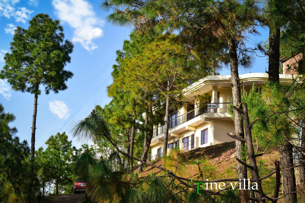 Pine Villa Kasauli Bagian luar foto